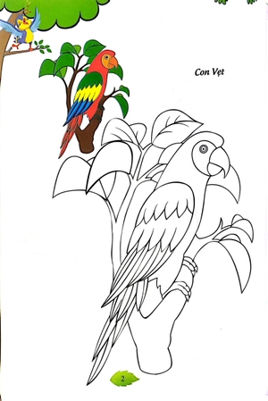 bé tập tô màu - các loài chim (tái bản 2023) - Ảnh 6