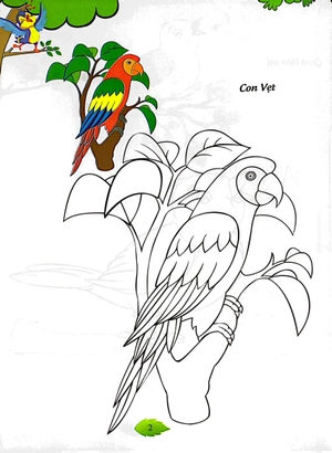 bé tập tô màu - các loài chim (tái bản 2023) - Ảnh 7