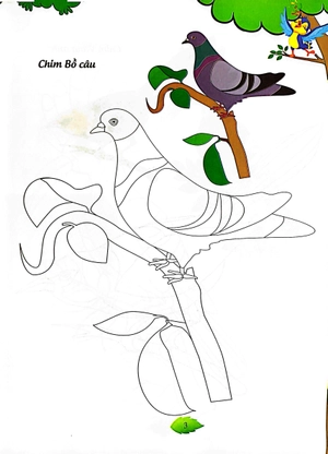 bé tập tô màu - các loài chim (tái bản 2023) - Ảnh 9