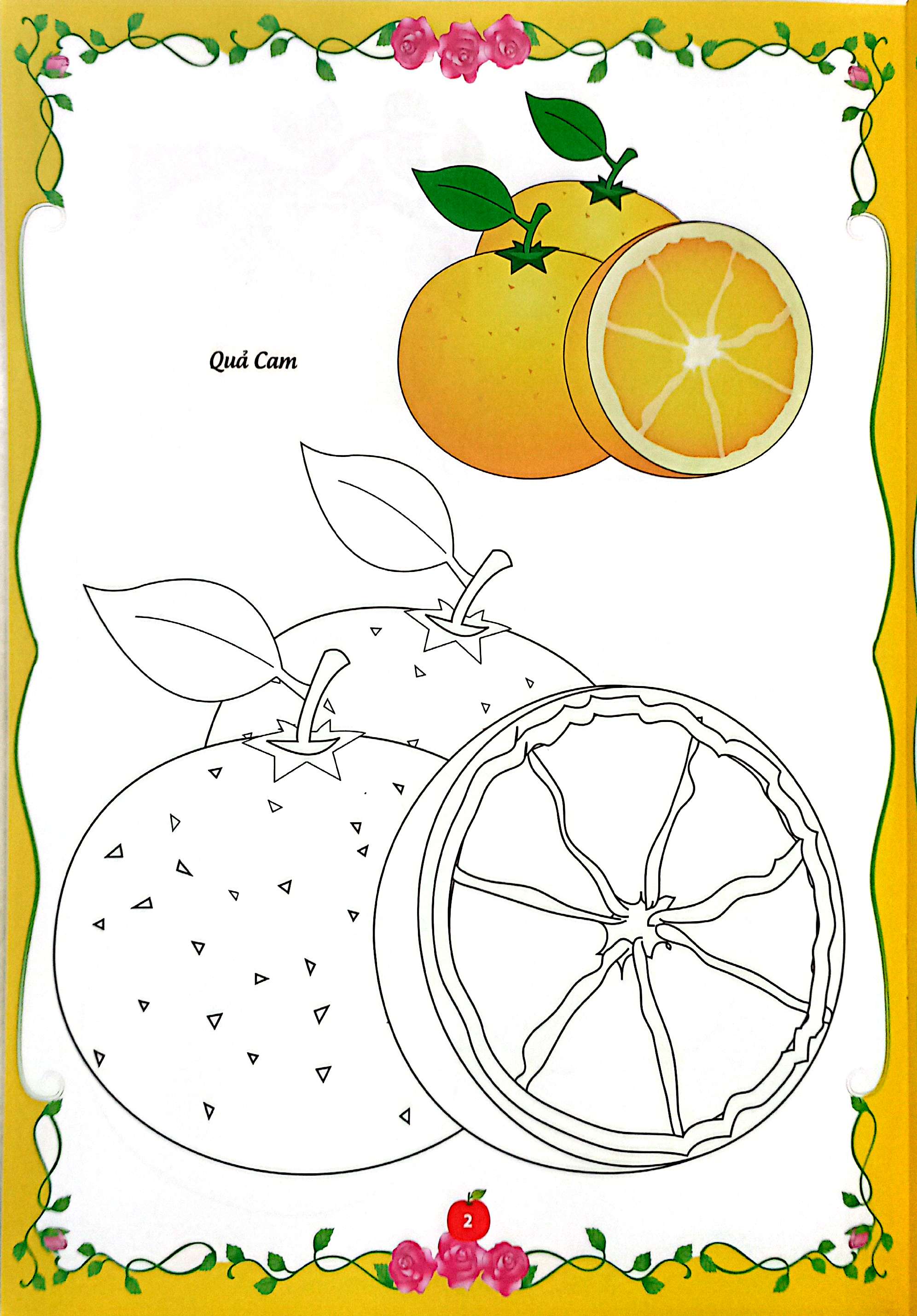 bé tập tô màu - củ, quả - Ảnh 4