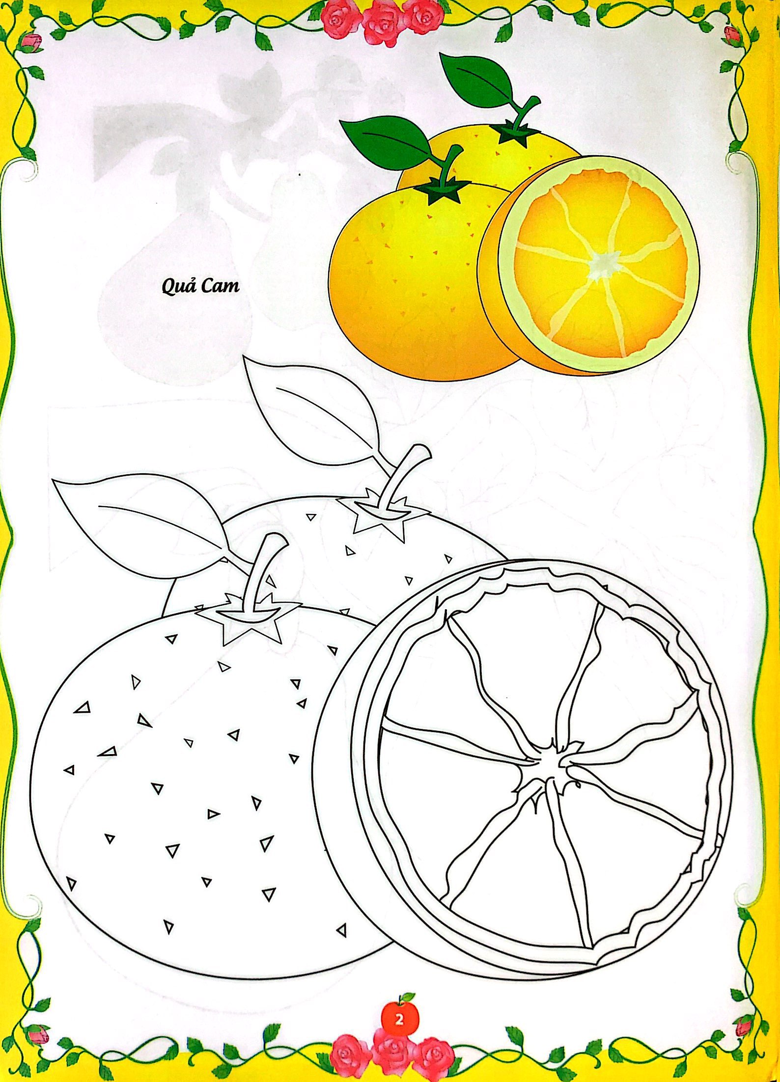 bé tập tô màu - củ, quả (tái bản 2023) - Ảnh 7