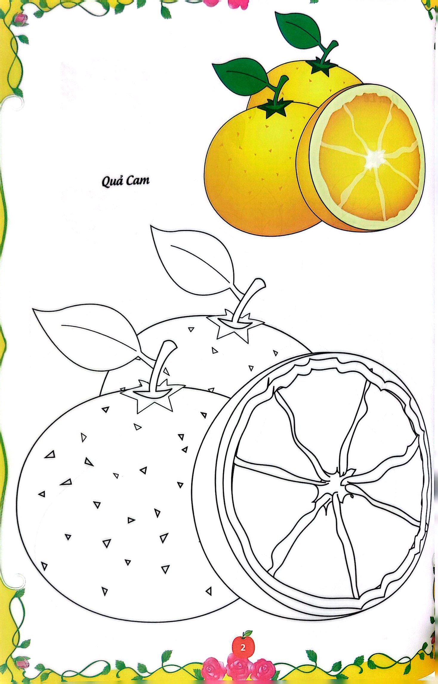 bé tập tô màu - củ, quả (tái bản 2023) - Ảnh 8