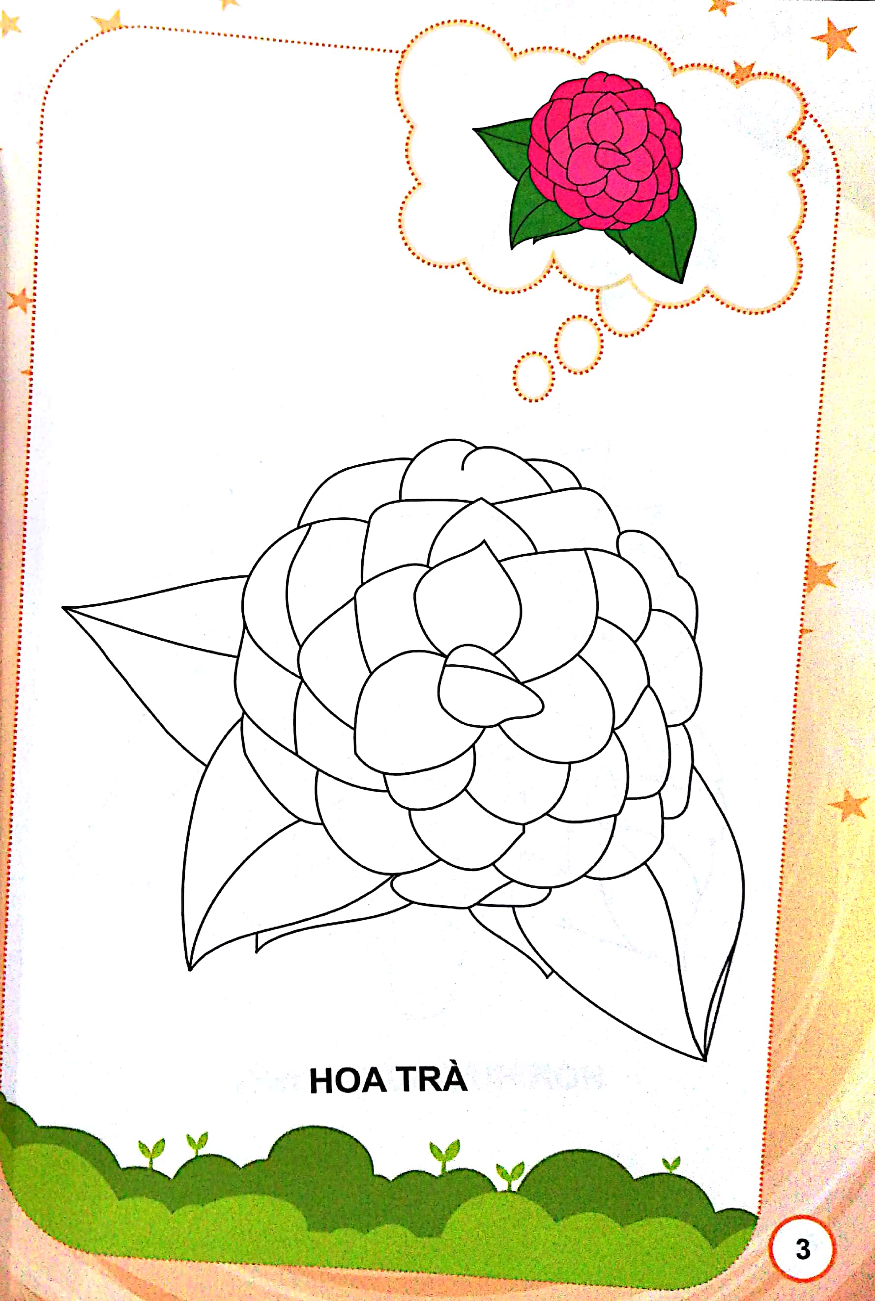 bé tập tô màu - hoa (tái bản 2022) - Ảnh 3