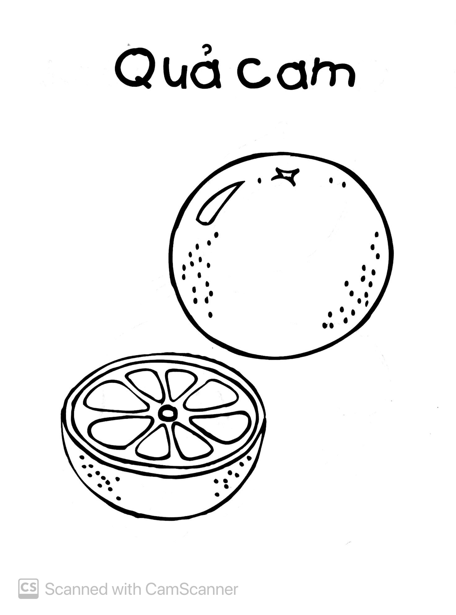 bé tập tô màu - trái cây (tái bản 2019) - Ảnh 3