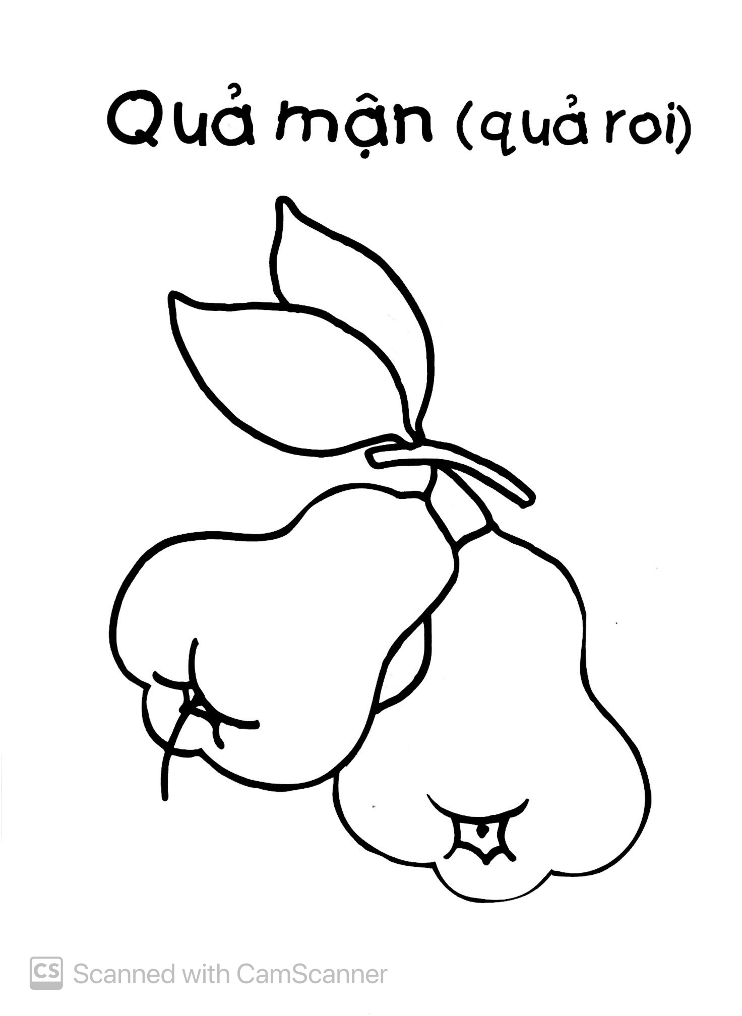 bé tập tô màu - trái cây (tái bản 2019) - Ảnh 4