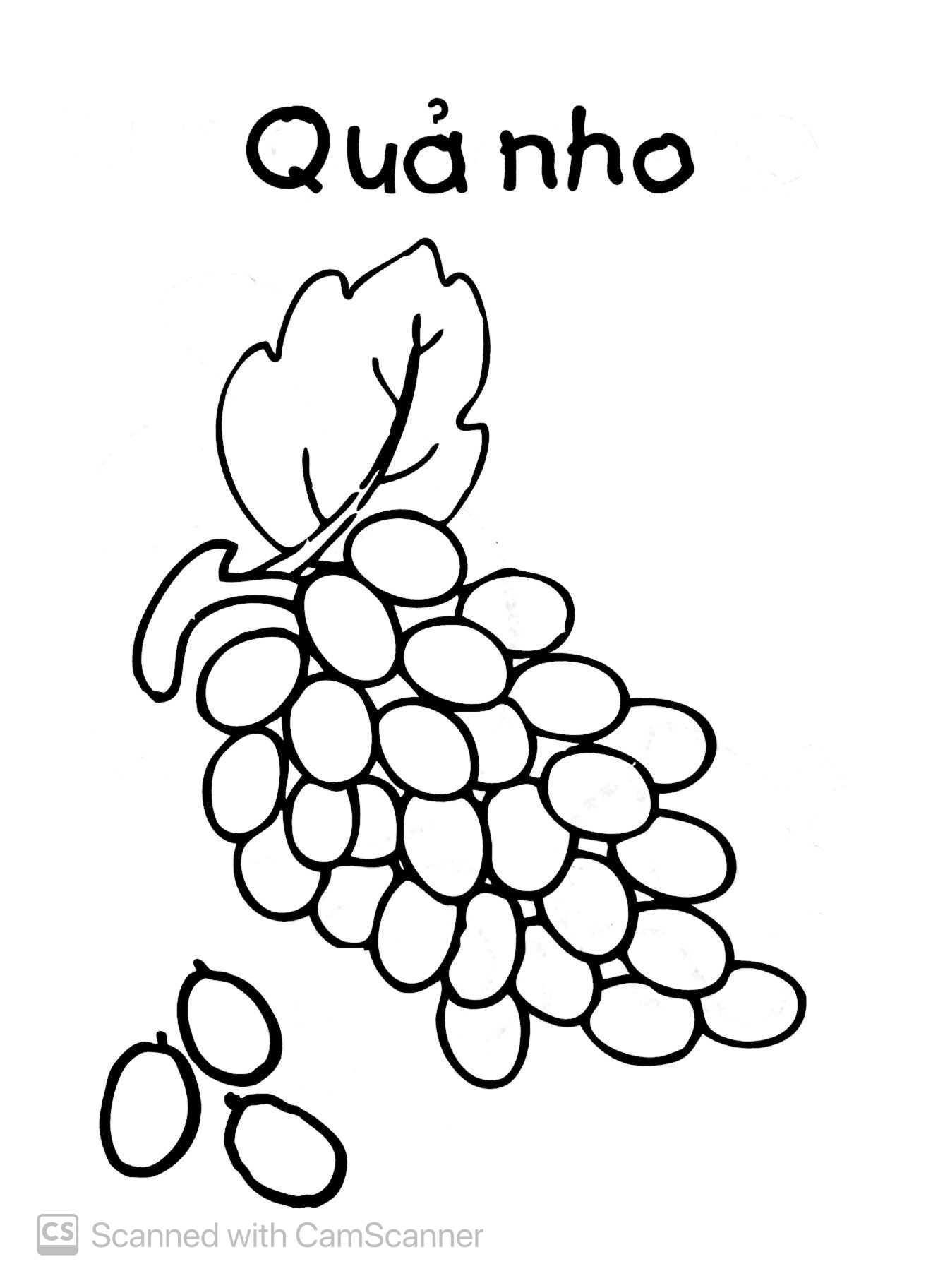 bé tập tô màu - trái cây (tái bản 2019) - Ảnh 5