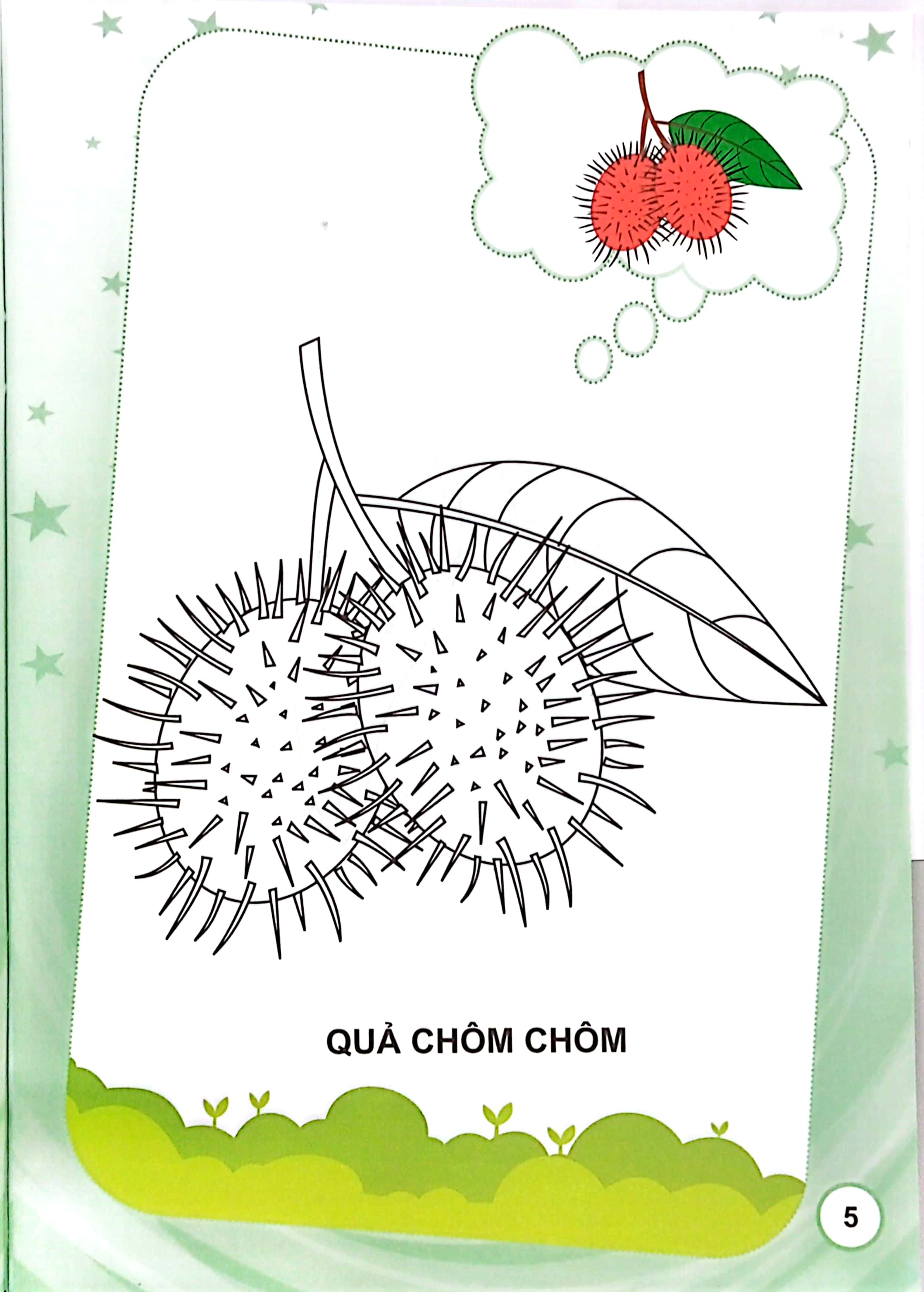 bé tập tô màu - trái cây (tái bản) - Ảnh 6