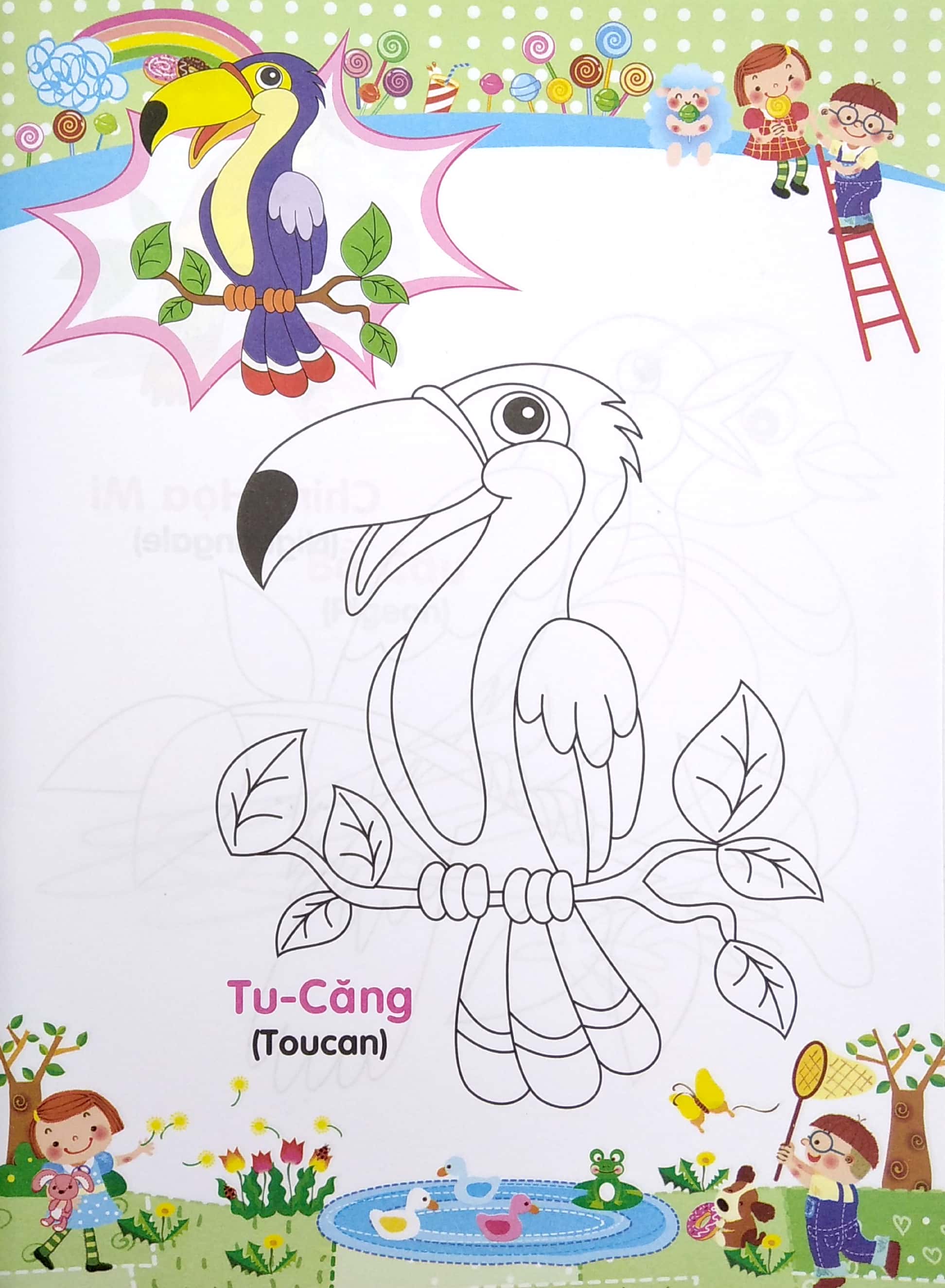 bé tập tô màu và học tiếng anh theo chủ đề - các loại chim - Ảnh 4