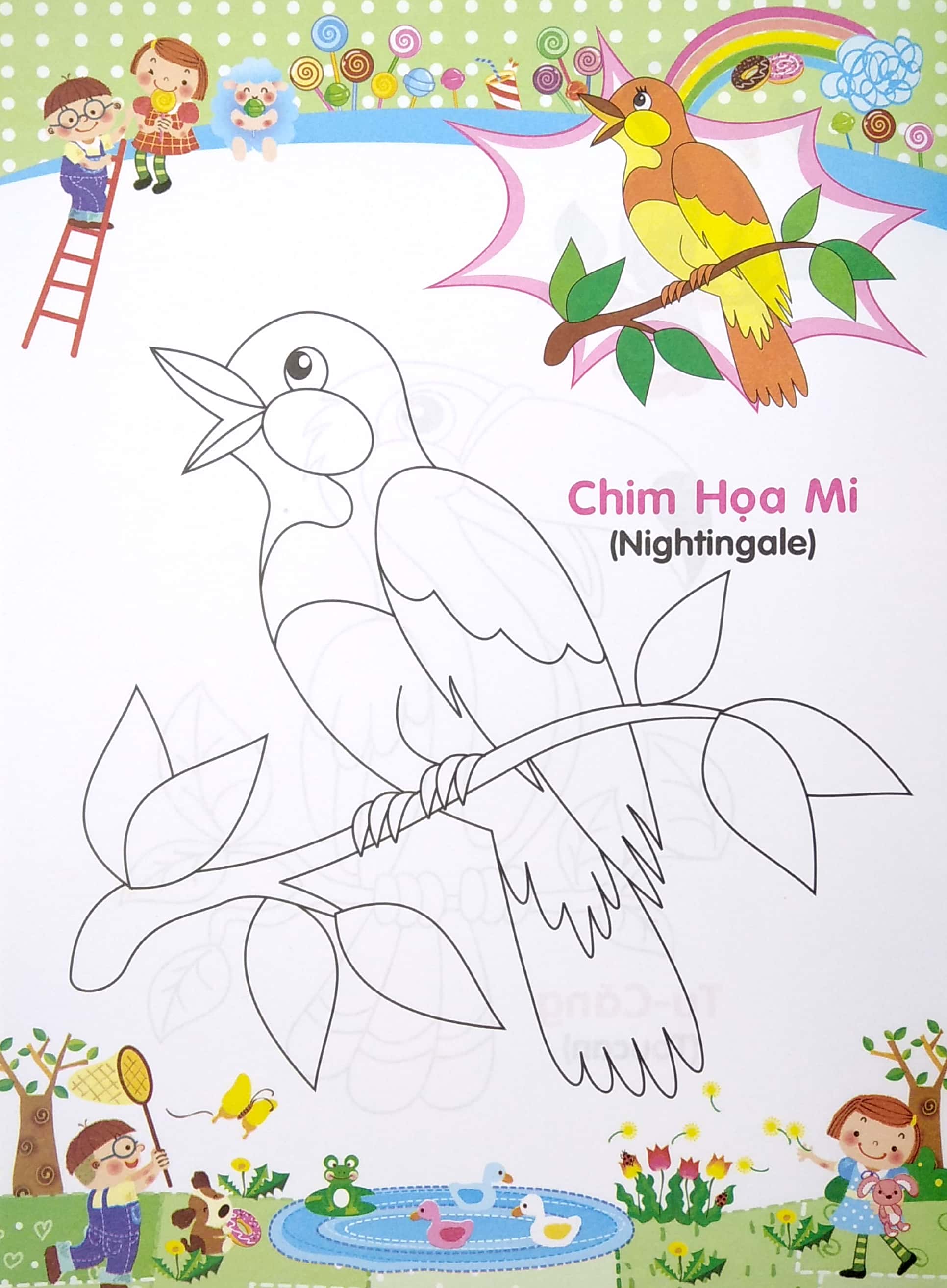bé tập tô màu và học tiếng anh theo chủ đề - các loại chim - Ảnh 5