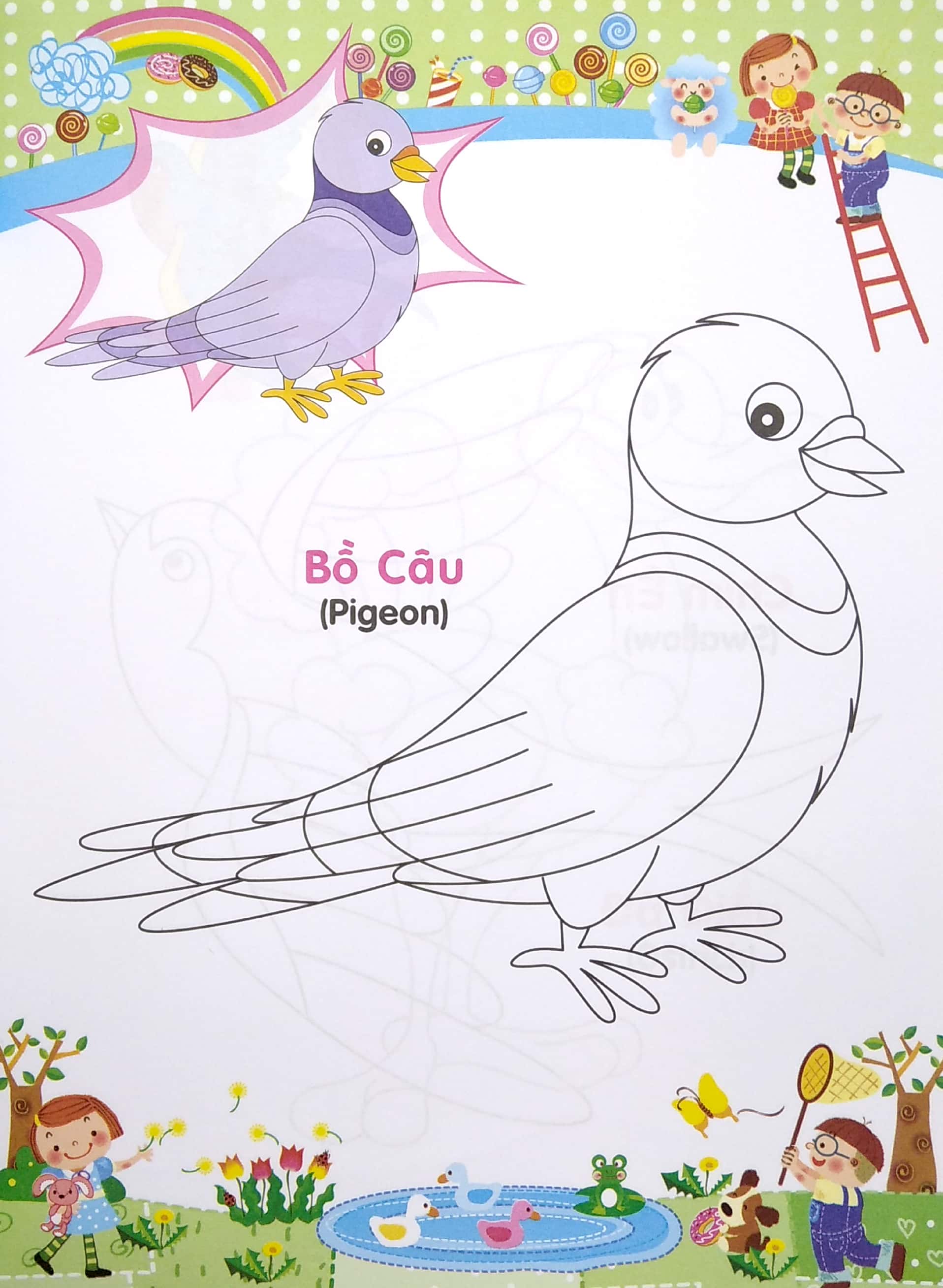 bé tập tô màu và học tiếng anh theo chủ đề - các loại chim - Ảnh 6