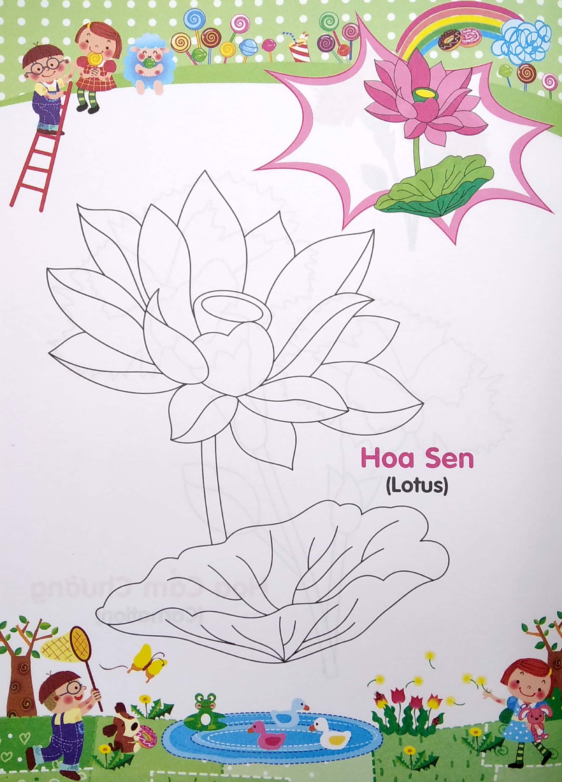 bé tập tô màu và học tiếng anh theo chủ đề - các loài hoa - Ảnh 5