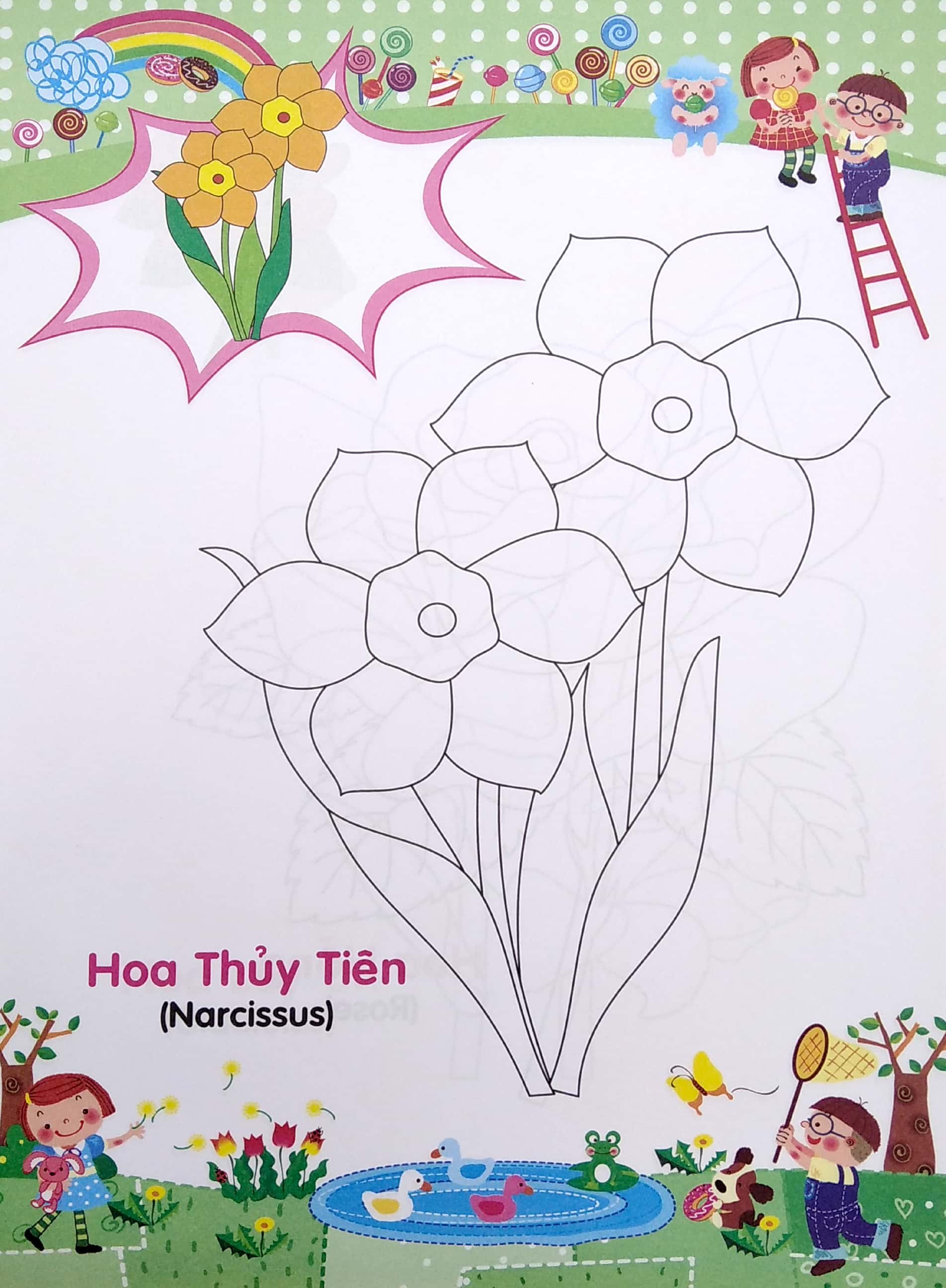 bé tập tô màu và học tiếng anh theo chủ đề - các loài hoa - Ảnh 6