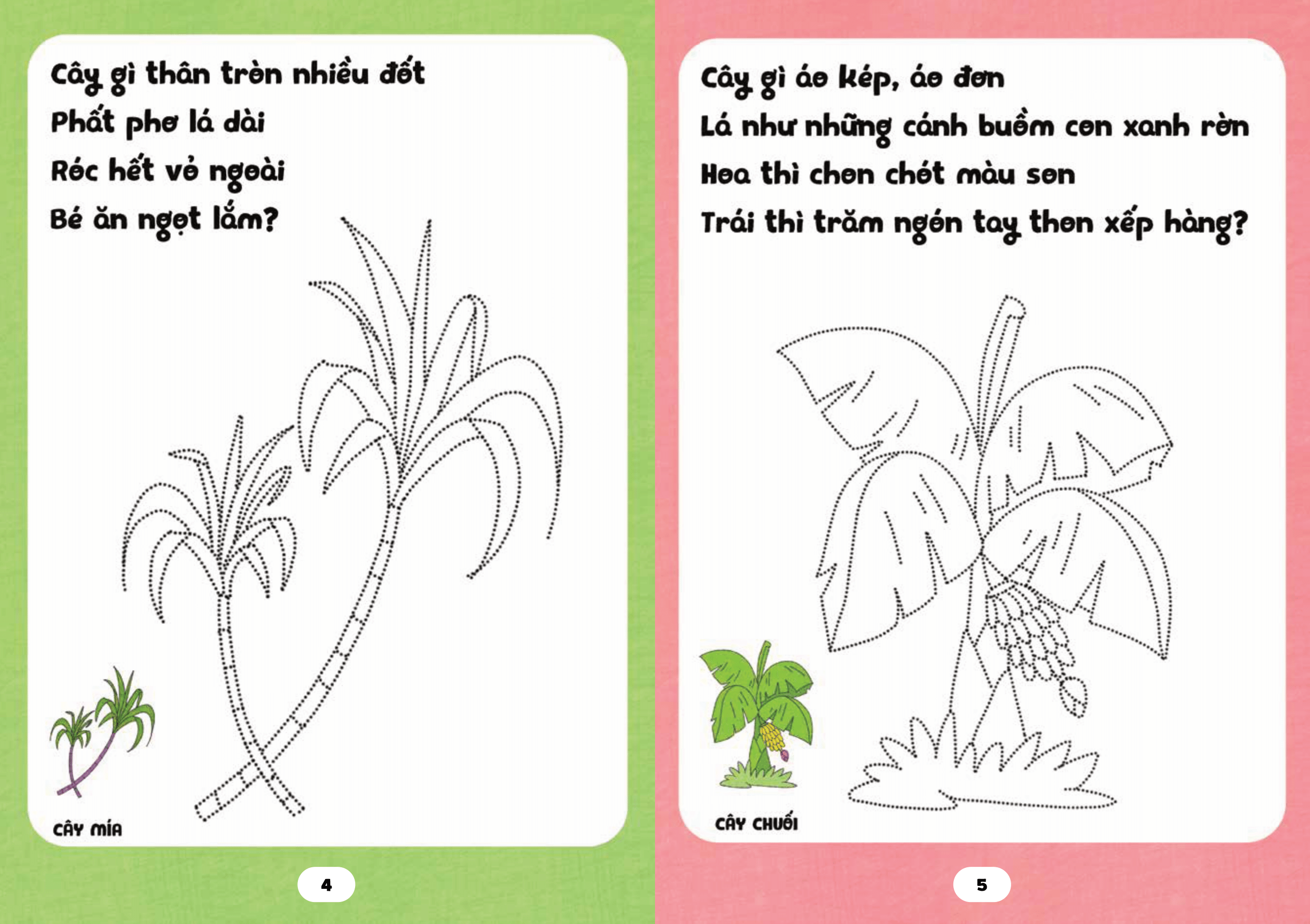 bé tập tô phát triển tư duy - câu đố về các loài cây - Ảnh 5