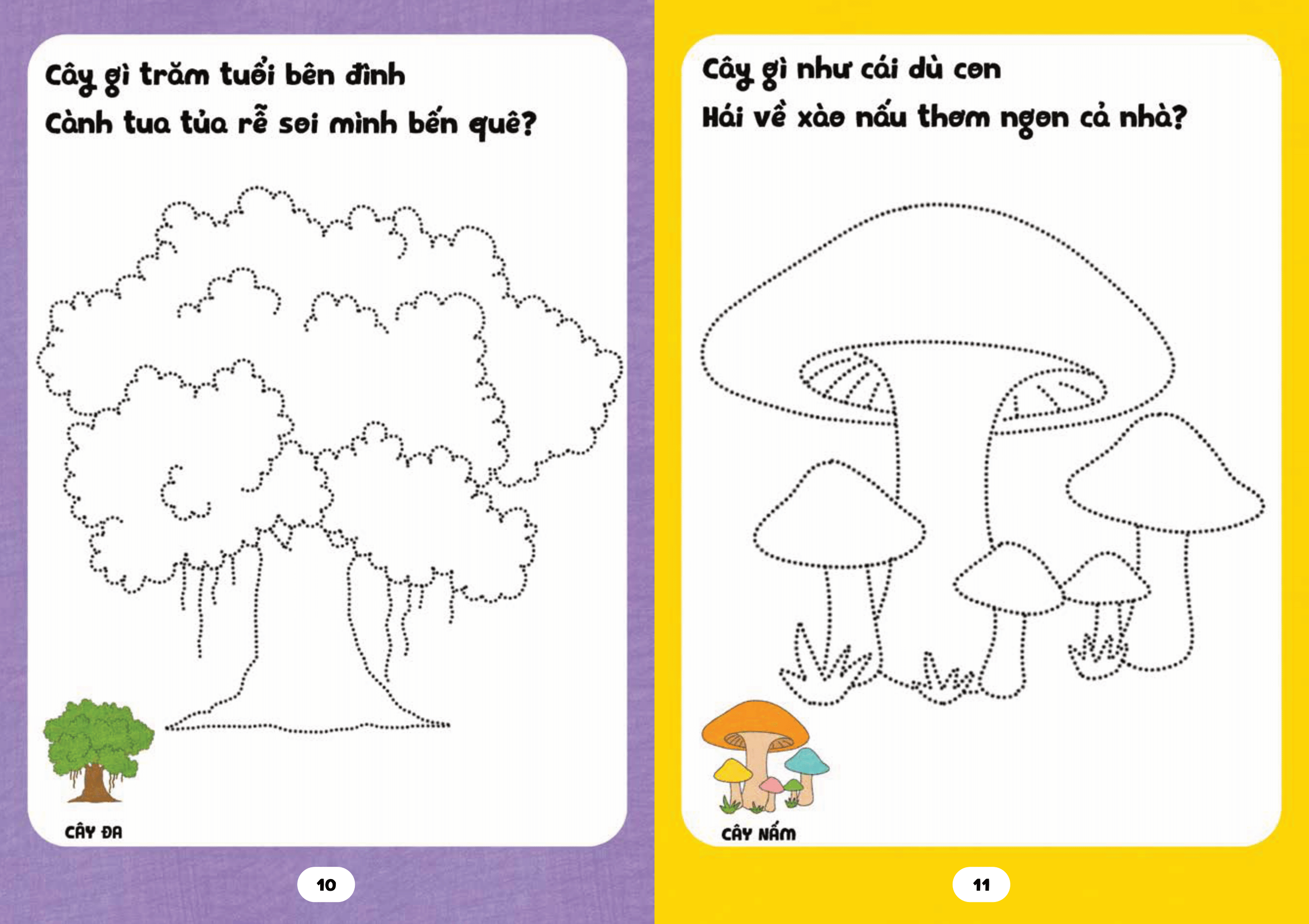 bé tập tô phát triển tư duy - câu đố về các loài cây - Ảnh 8