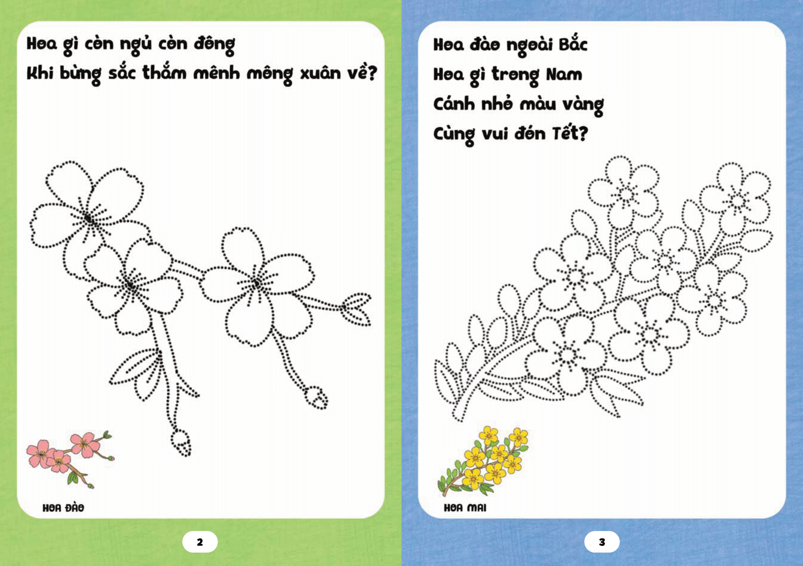 bé tập tô phát triển tư duy - câu đố về các loài hoa - Ảnh 4