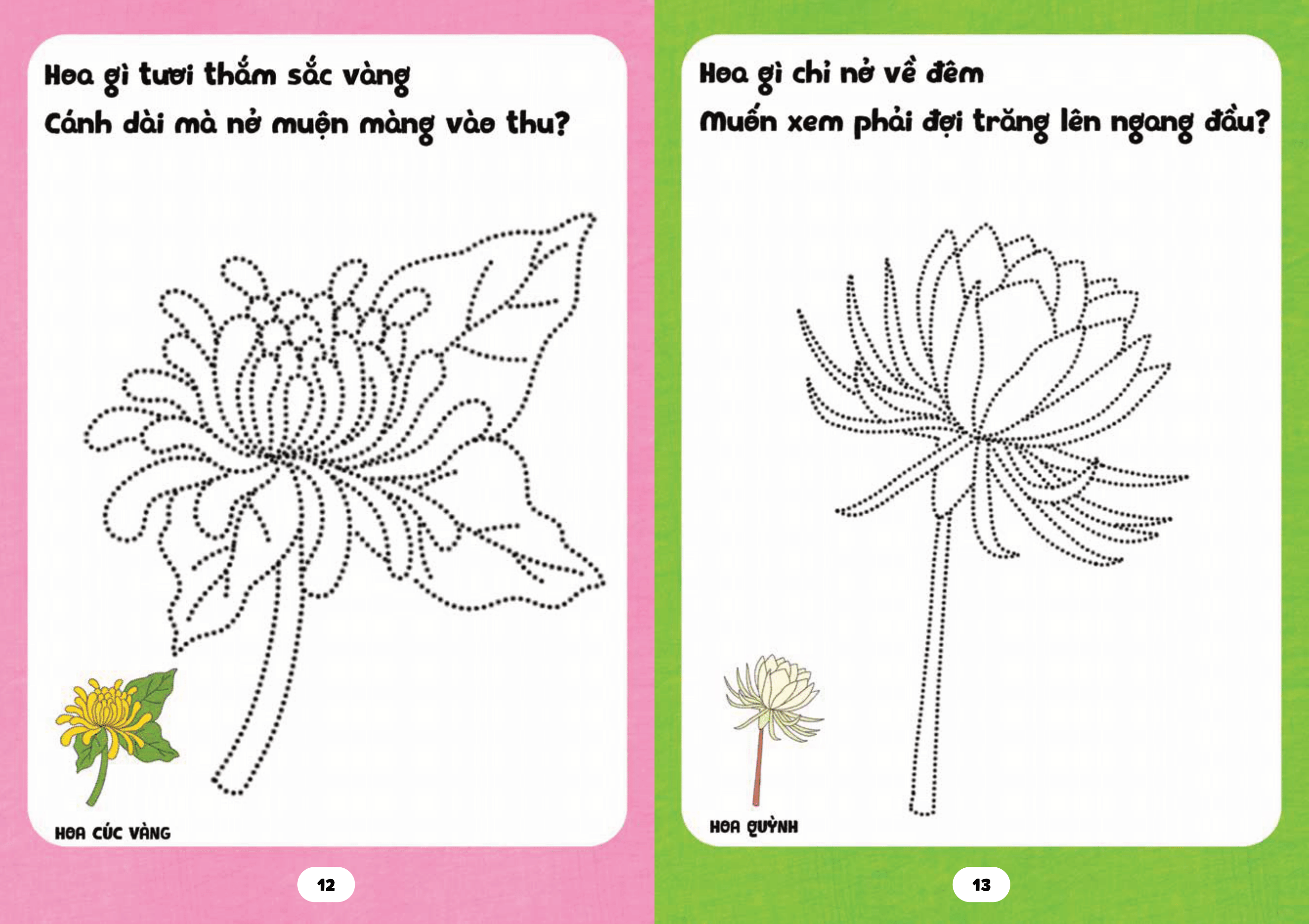 bé tập tô phát triển tư duy - câu đố về các loài hoa - Ảnh 9