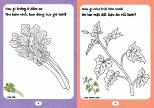 bé tập tô phát triển tư duy - câu đố về rau củ - Ảnh 4