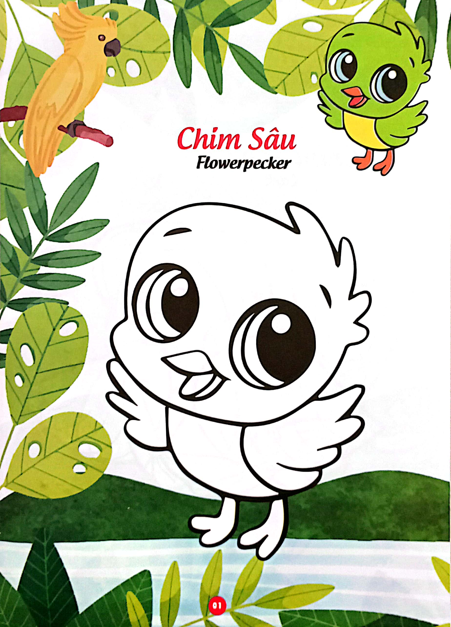 bé thỏa sức sáng tạo phát triển iq-eq-cq -bé tô màu và học tiếng anh theo chủ đề - các loại chim - Ảnh 3