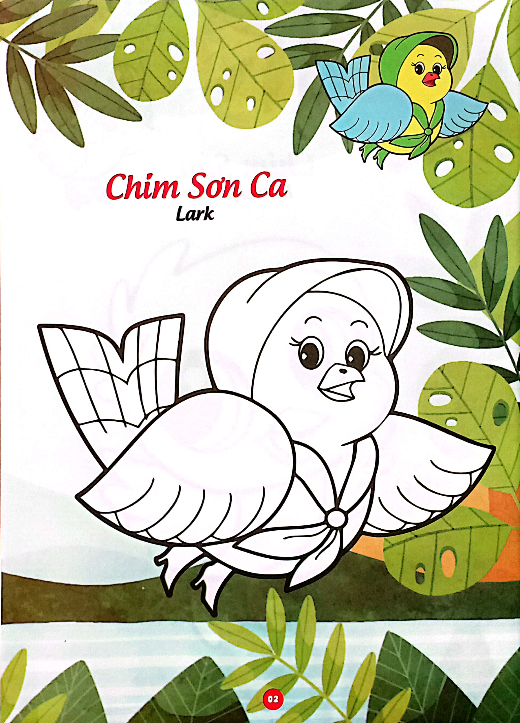 bé thỏa sức sáng tạo phát triển iq-eq-cq -bé tô màu và học tiếng anh theo chủ đề - các loại chim - Ảnh 4