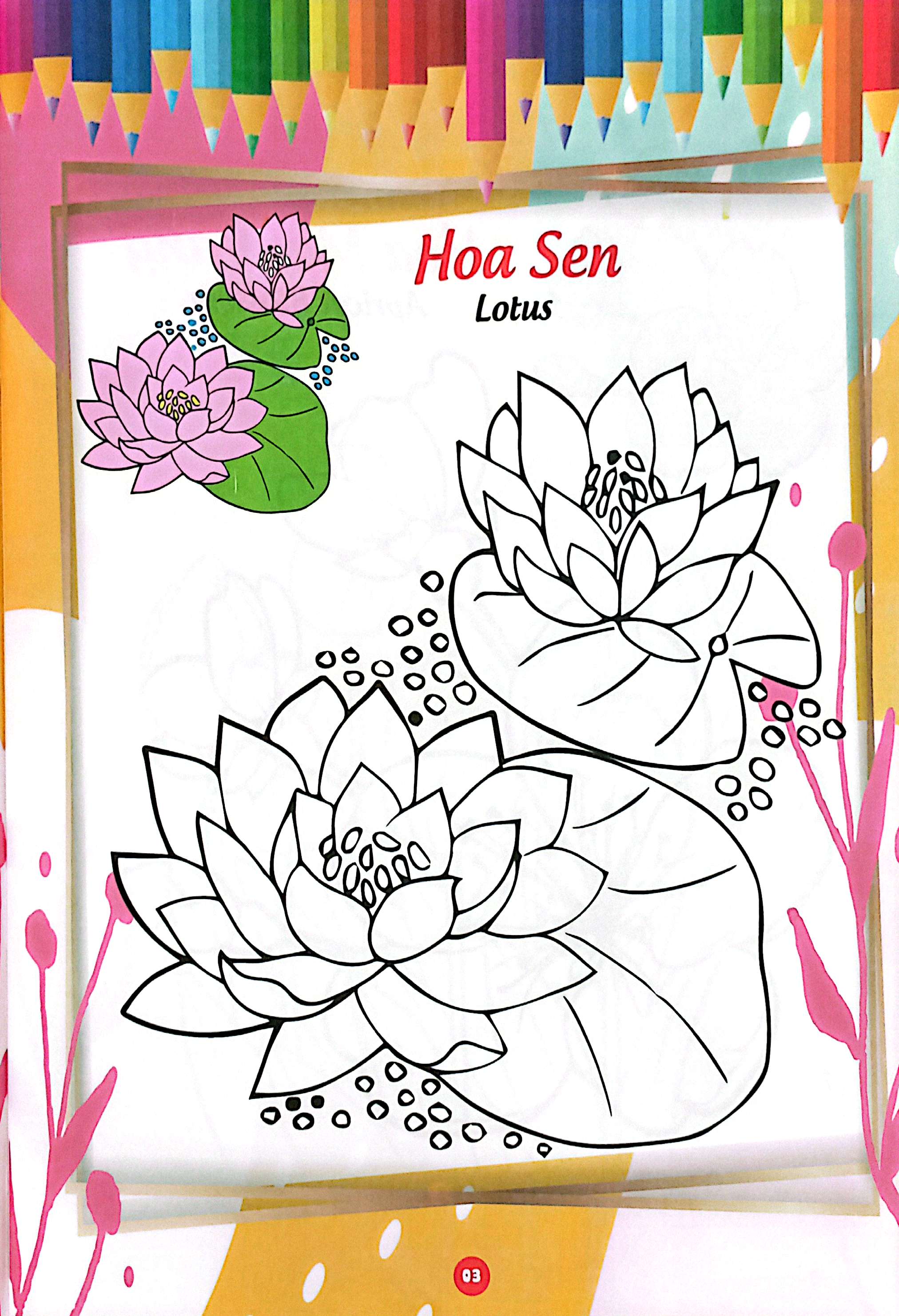 bé thỏa sức sáng tạo phát triển iq-eq-cq - bé tô màu và học tiếng anh theo chủ đề - các loài hoa - Ảnh 5