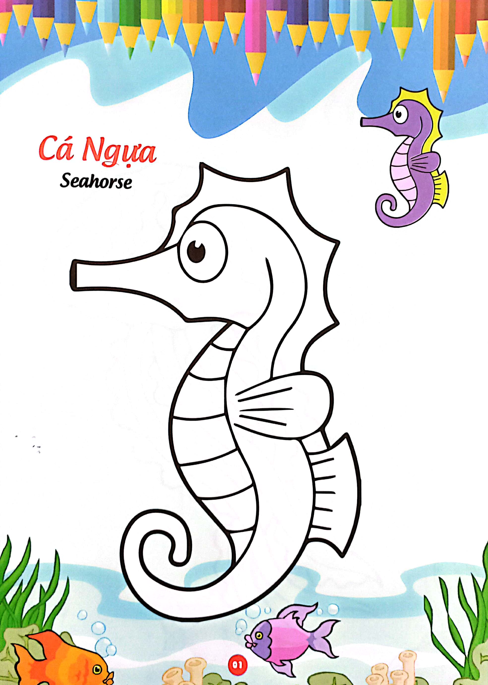 bé thỏa sức sáng tạo phát triển iq-eq-cq -bé tô màu và học tiếng anh theo chủ đề - động vật biển - Ảnh 3