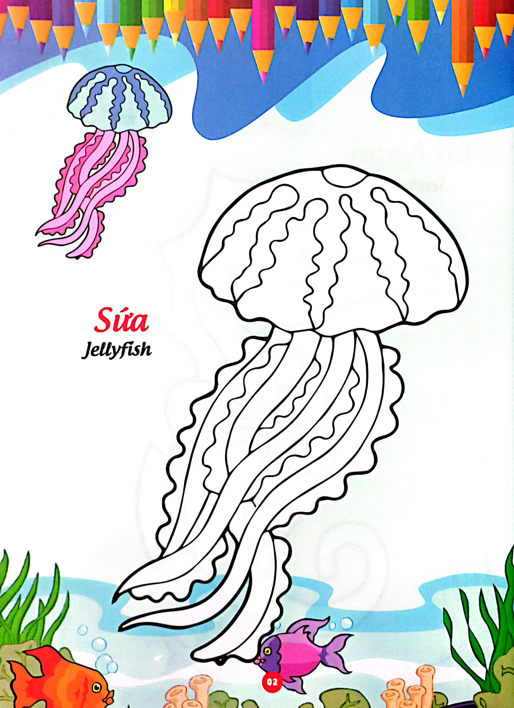 bé thỏa sức sáng tạo phát triển iq-eq-cq -bé tô màu và học tiếng anh theo chủ đề - động vật biển - Ảnh 4
