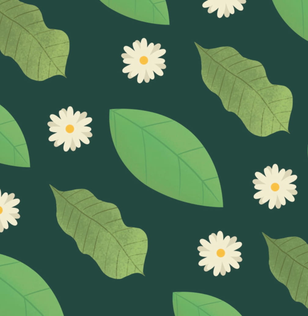 bé thông minh - đóng mở kì diệu - bên dưới chiếc lá - bìa cứng - Ảnh 2