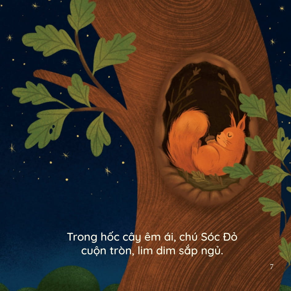 bé thông minh - sinh hoạt hằng ngày - đi ngủ nào! - bìa cứng - Ảnh 7