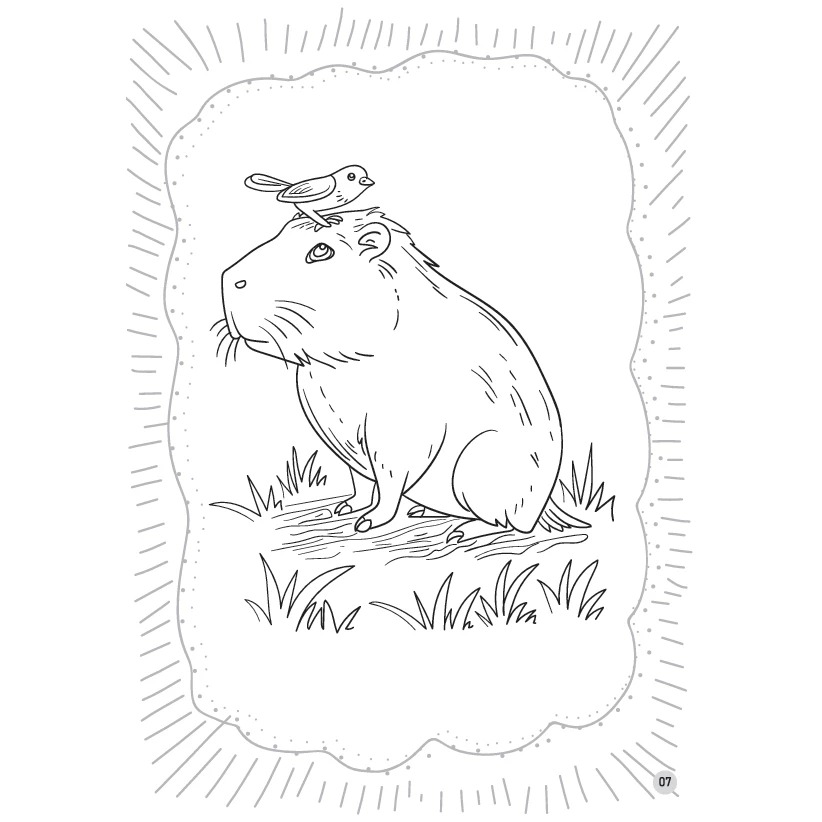 bé tô màu capybara - bộ trưởng bộ ngoại giao - người bạn thân thiện - Ảnh 7