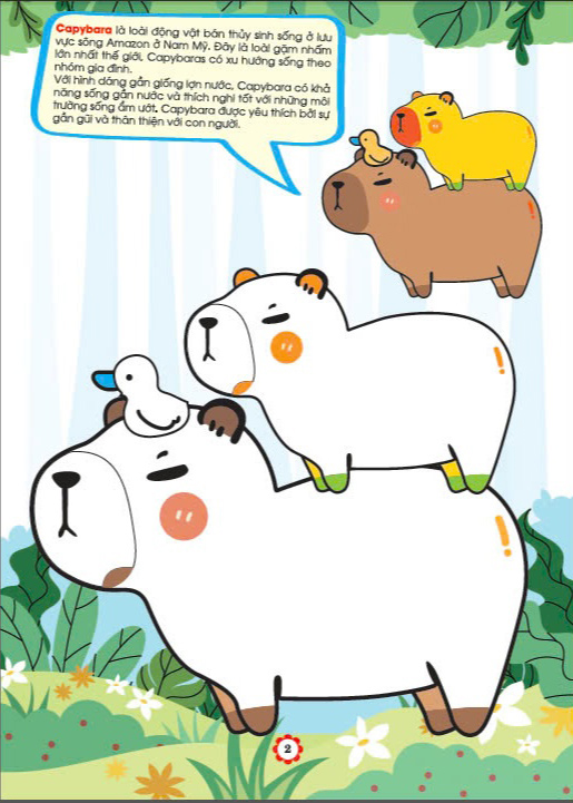 bé tô màu capybara gần gũi và thân thiện với các bạn - Ảnh 4