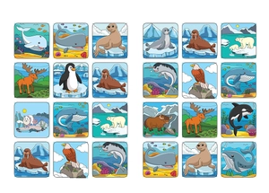 bé tô màu - khám phá bắc cực lạnh giá - Ảnh 6