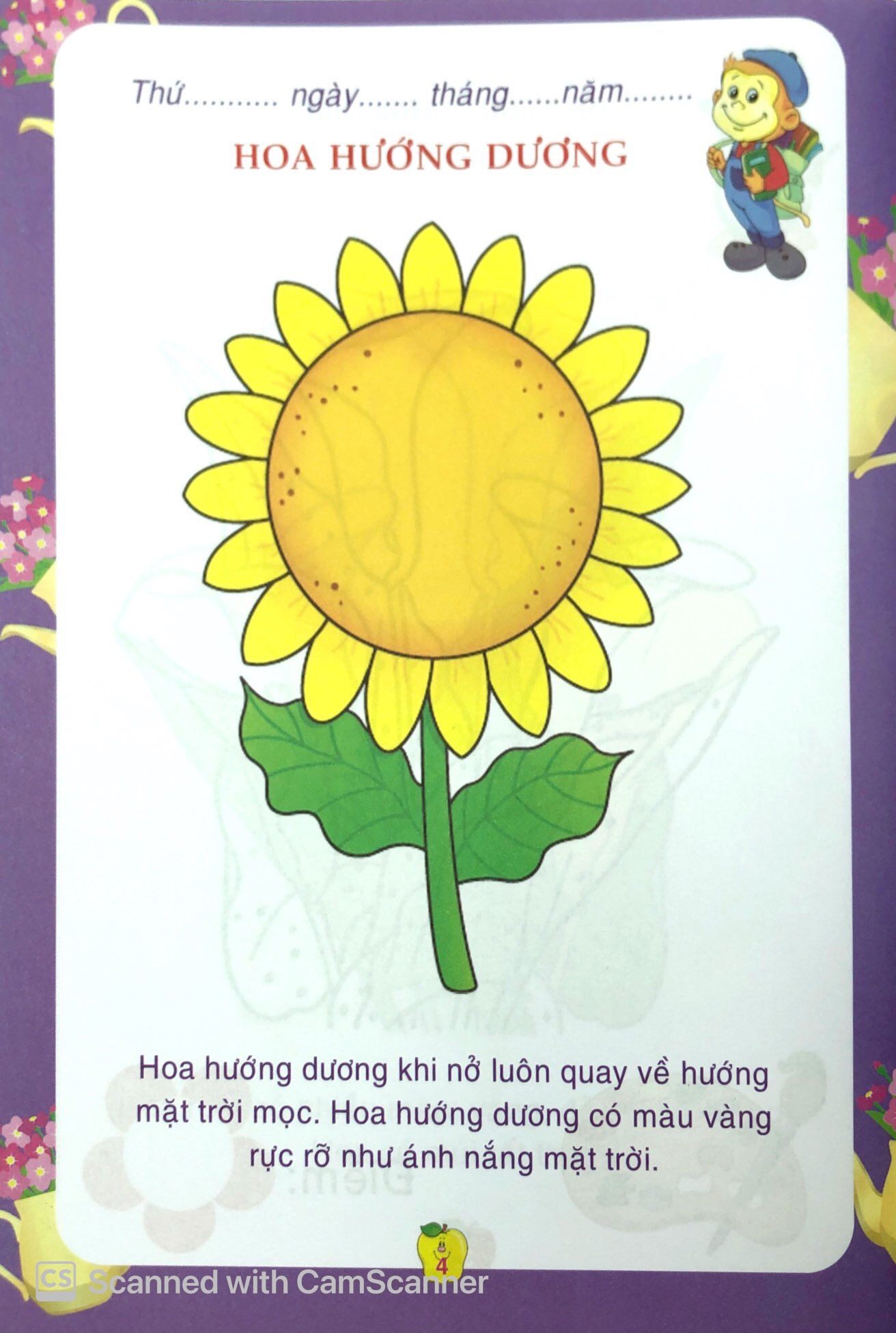 bé tô màu & làm quen với môi trường - các loài hoa - Ảnh 5