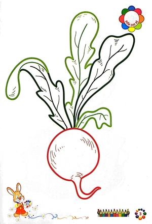 bé tô màu mẫu giáo - rau củ quả - Ảnh 5