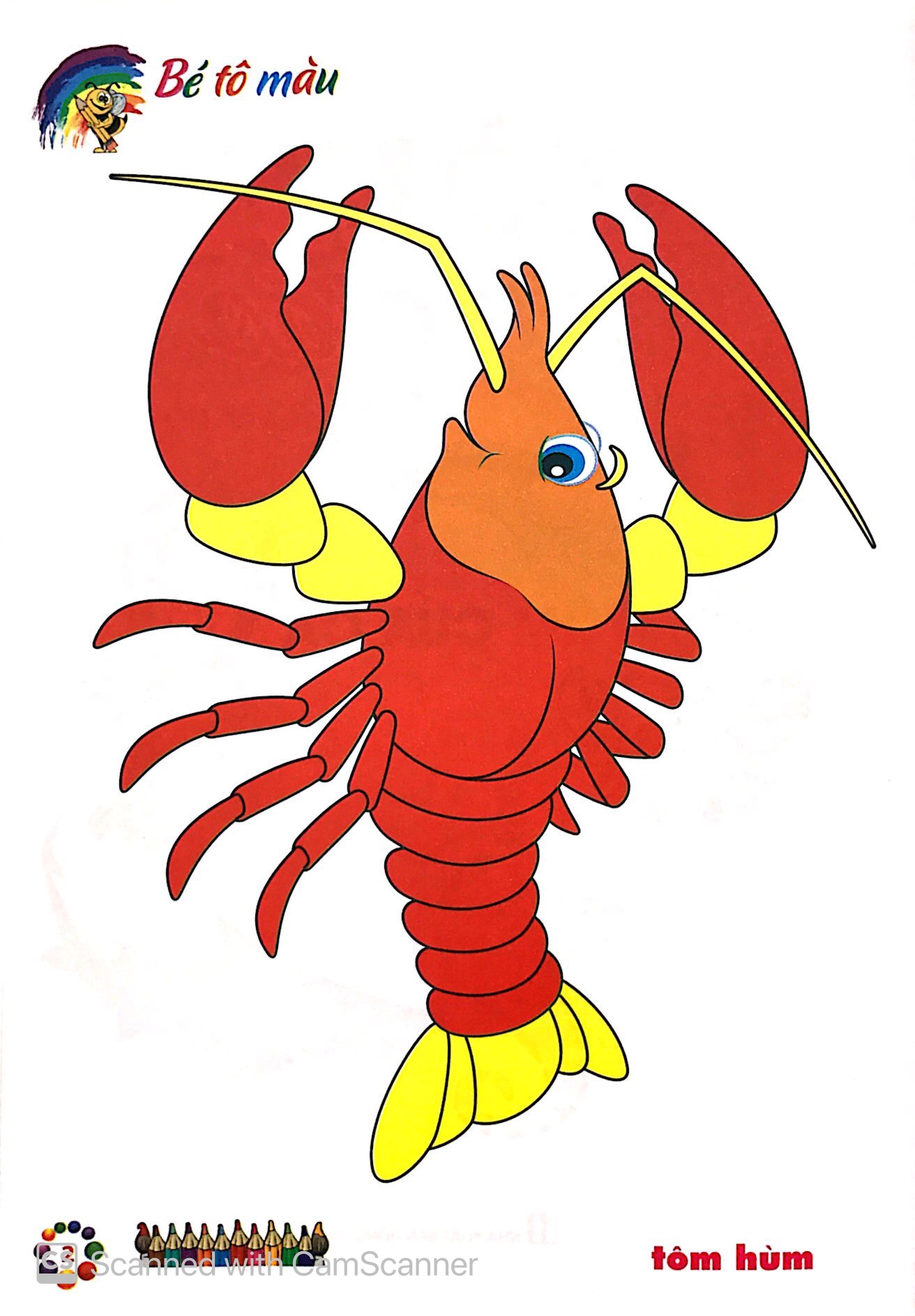 bé tô màu mẫu giáo - tôm cua cá (tái bản 2024) - Ảnh 2