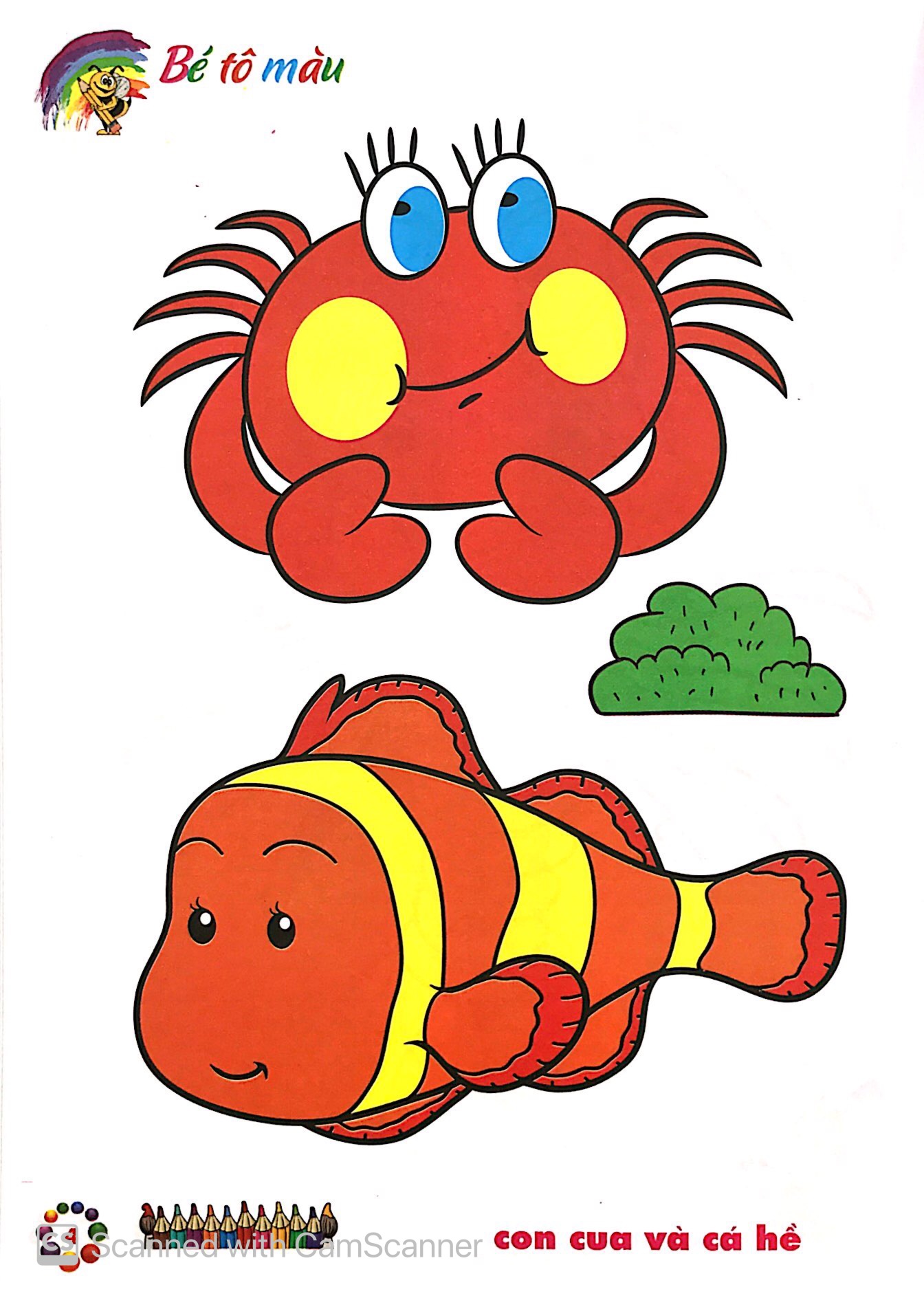 bé tô màu mẫu giáo - tôm cua cá (tái bản 2024) - Ảnh 4