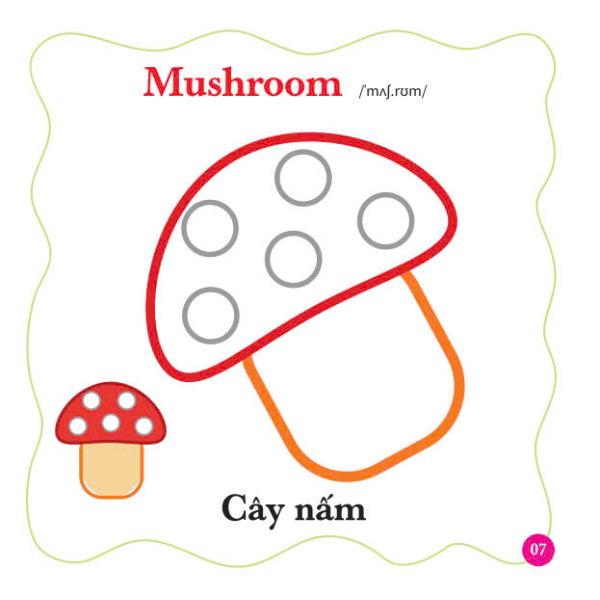 bé tô màu thế giới xung quanh - song ngữ anh-việt - rau-củ-quả - Ảnh 6