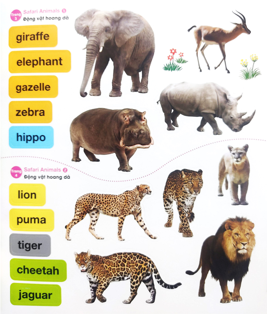 bé vui học tiếng anh cùng sticker - at the zoo - trong vườn thú - Ảnh 6