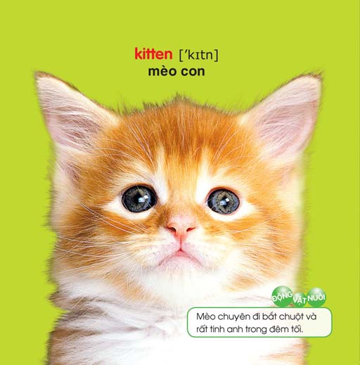 bé yêu đi mẫu giáo - thế giới động vật - Ảnh 2