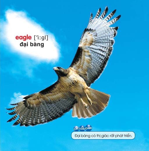 bé yêu đi mẫu giáo - thế giới động vật - Ảnh 4