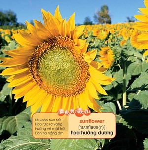 bé yêu đi mẫu giáo - tranh đố vui - Ảnh 2