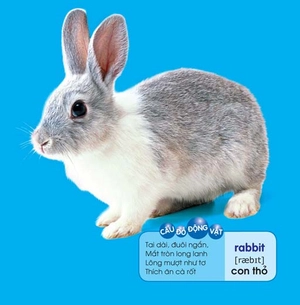 bé yêu đi mẫu giáo - tranh đố vui - Ảnh 3