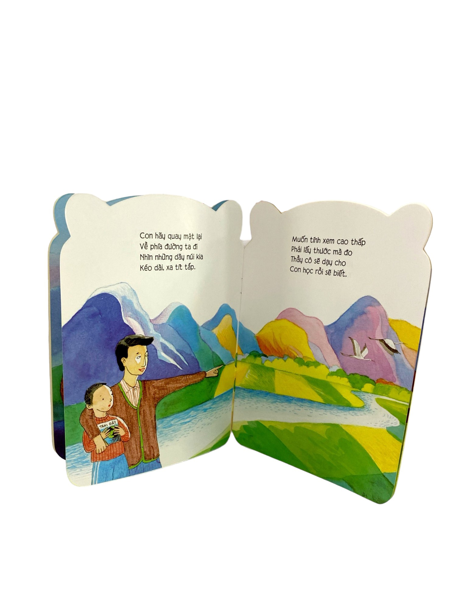 bé yêu khám phá - cao và thấp - Ảnh 3