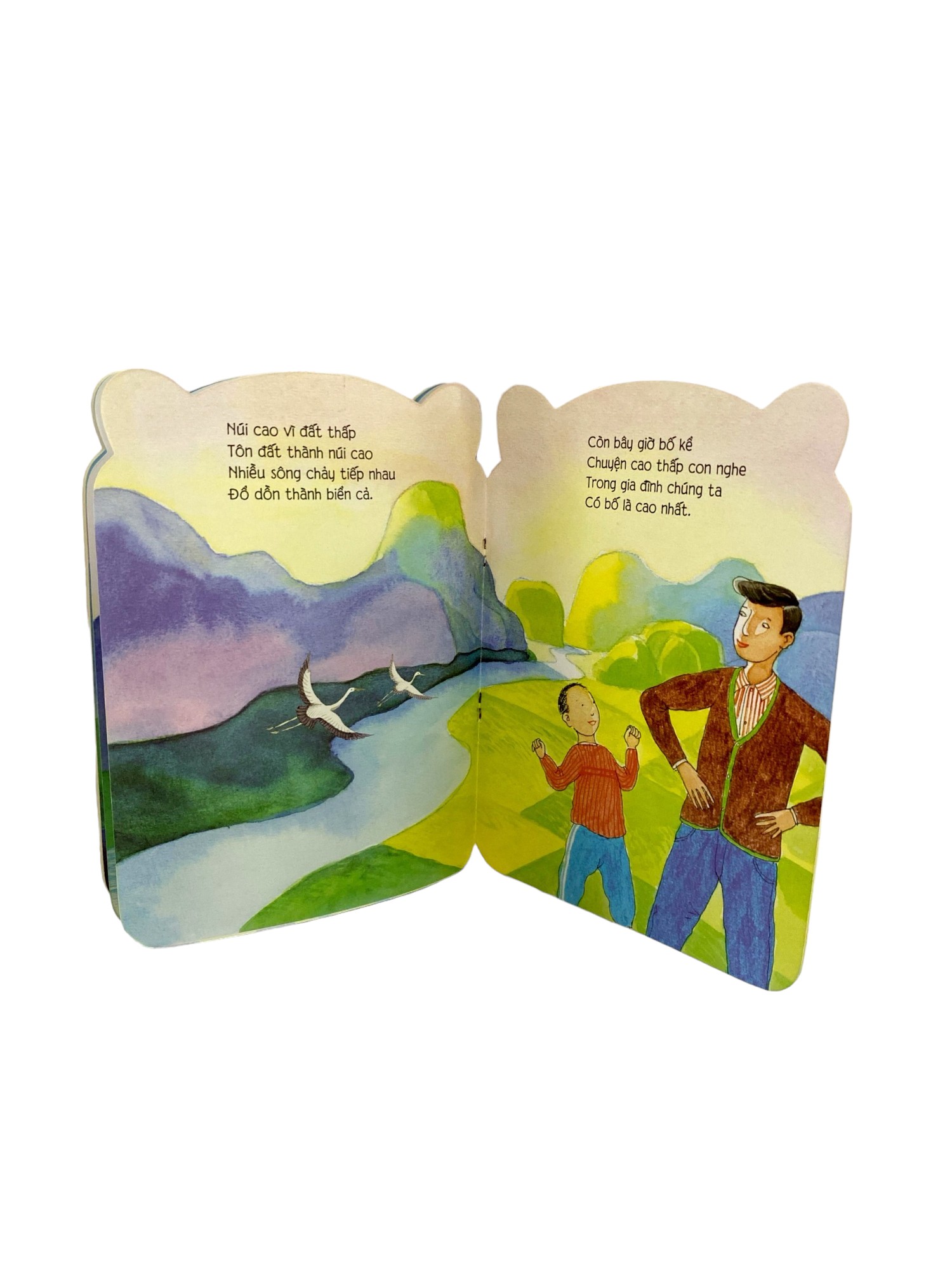 bé yêu khám phá - cao và thấp - Ảnh 4