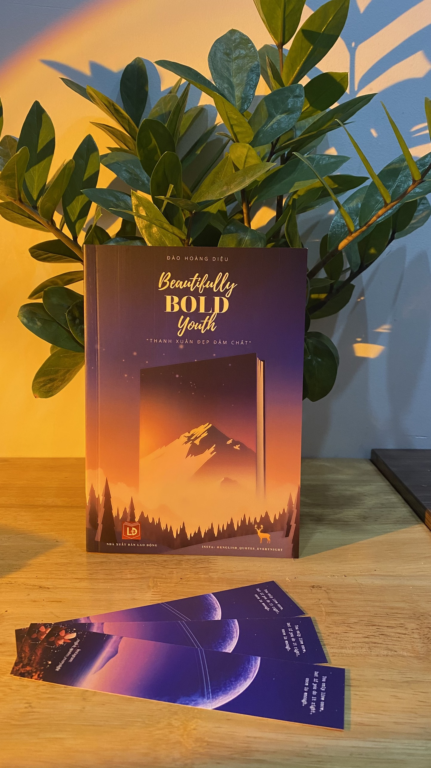 beautifully bold youth - thanh xuân đẹp đậm chất - Ảnh 2