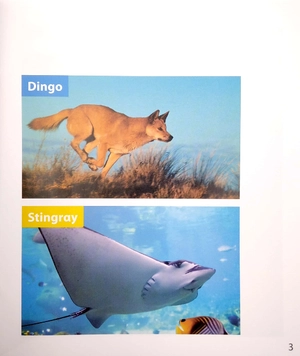 become an expert animals in australia - Ảnh 5