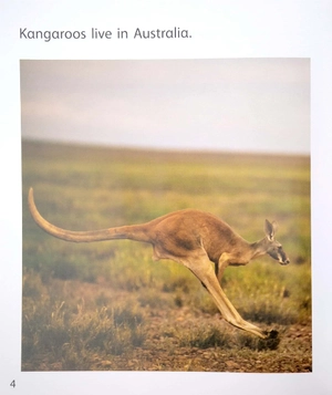 become an expert animals in australia - Ảnh 6