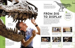 behind the scenes at the museum: your access-all-areas guide to the world's most amazing museums - Ảnh 4