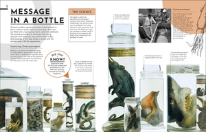 behind the scenes at the museum: your access-all-areas guide to the world's most amazing museums - Ảnh 5