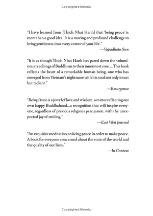 being peace - Ảnh 12