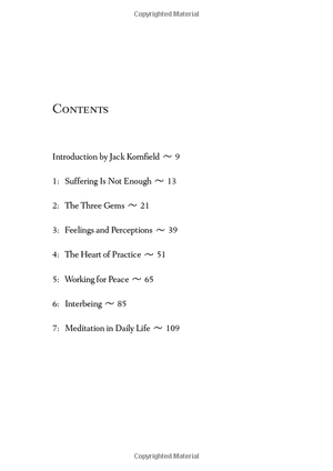 being peace - Ảnh 4